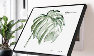 植物宠物店创业方案 植物宠物店创业方案